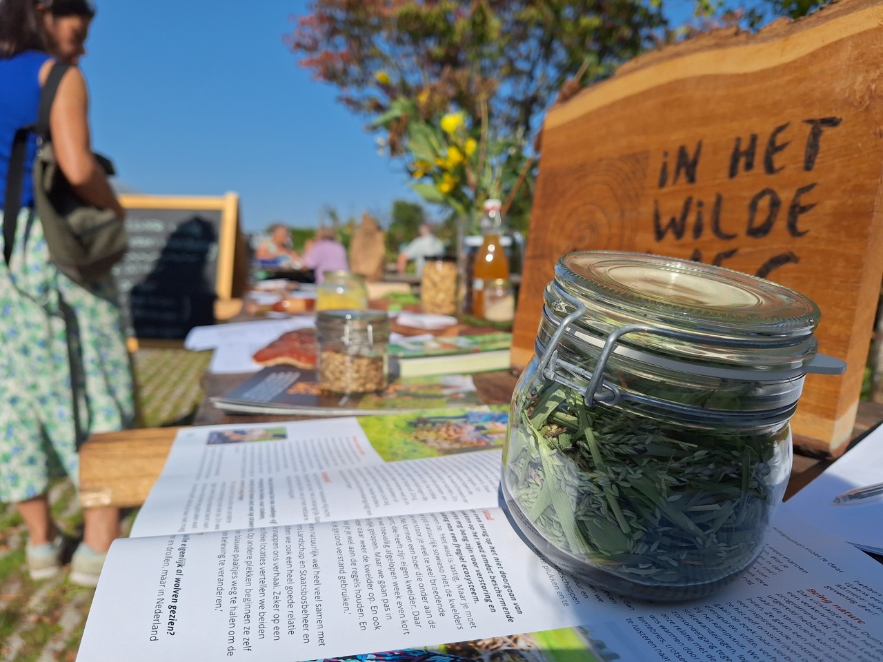 Wilde plantenwandeling Wilde plantenwandeling