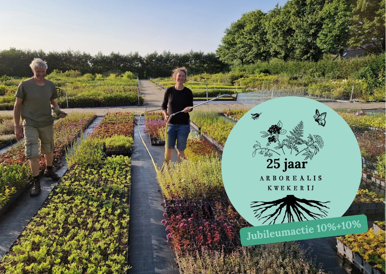 Jubileumactie 25 jaar Kwekerij Arborealis