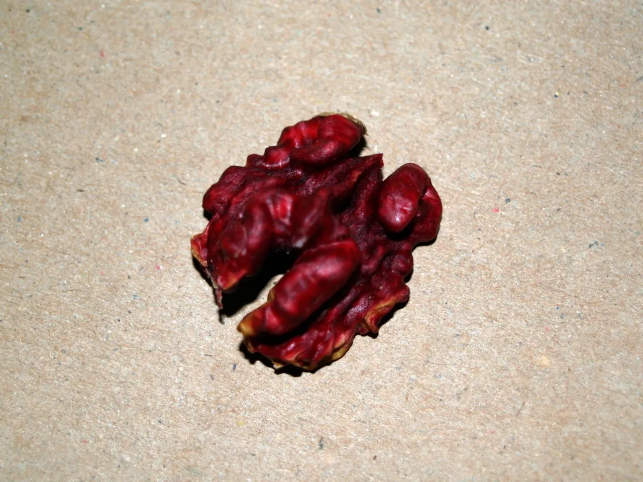 Juglans regia 'Rode Donau'