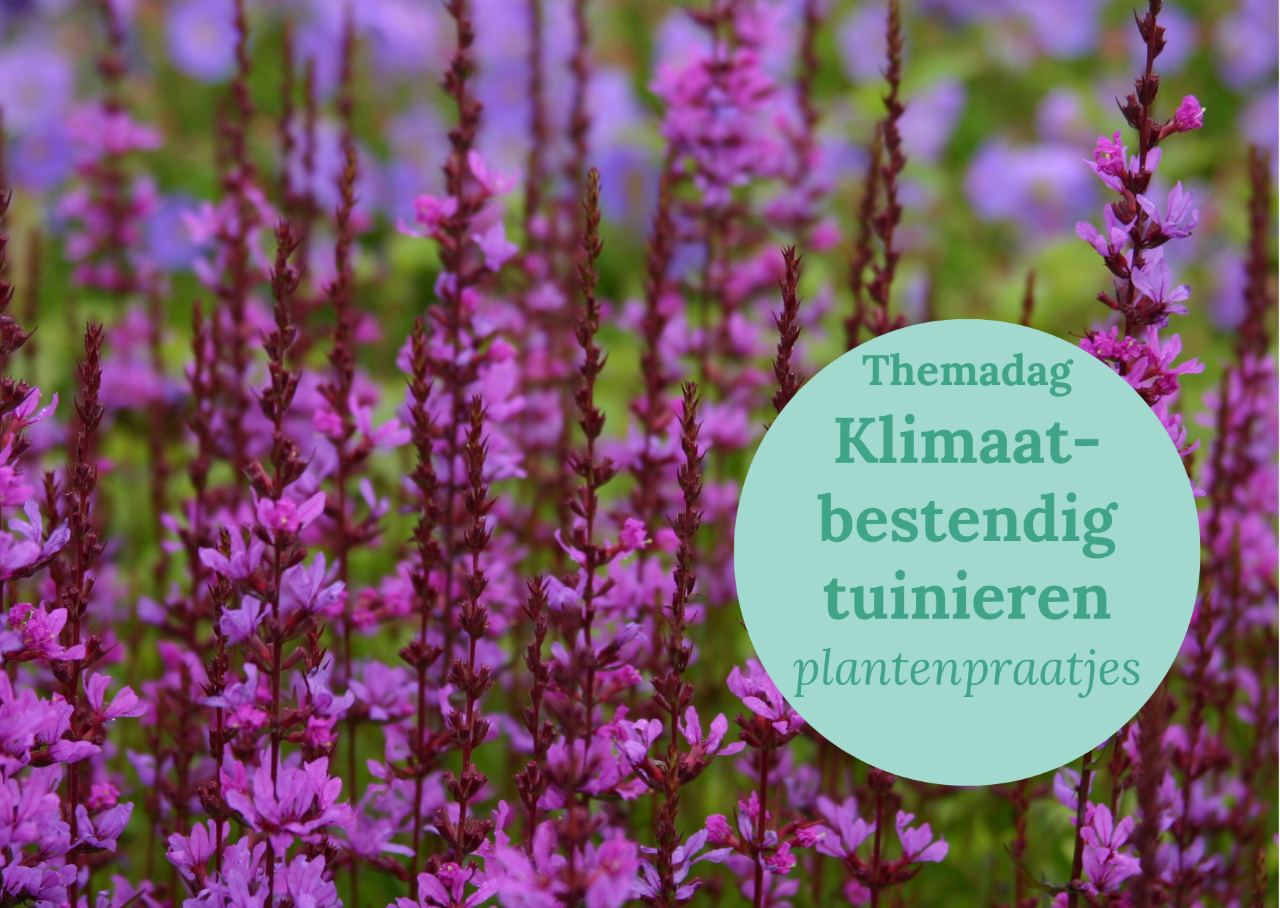 Themadag Klimaatbestendig Tuinieren