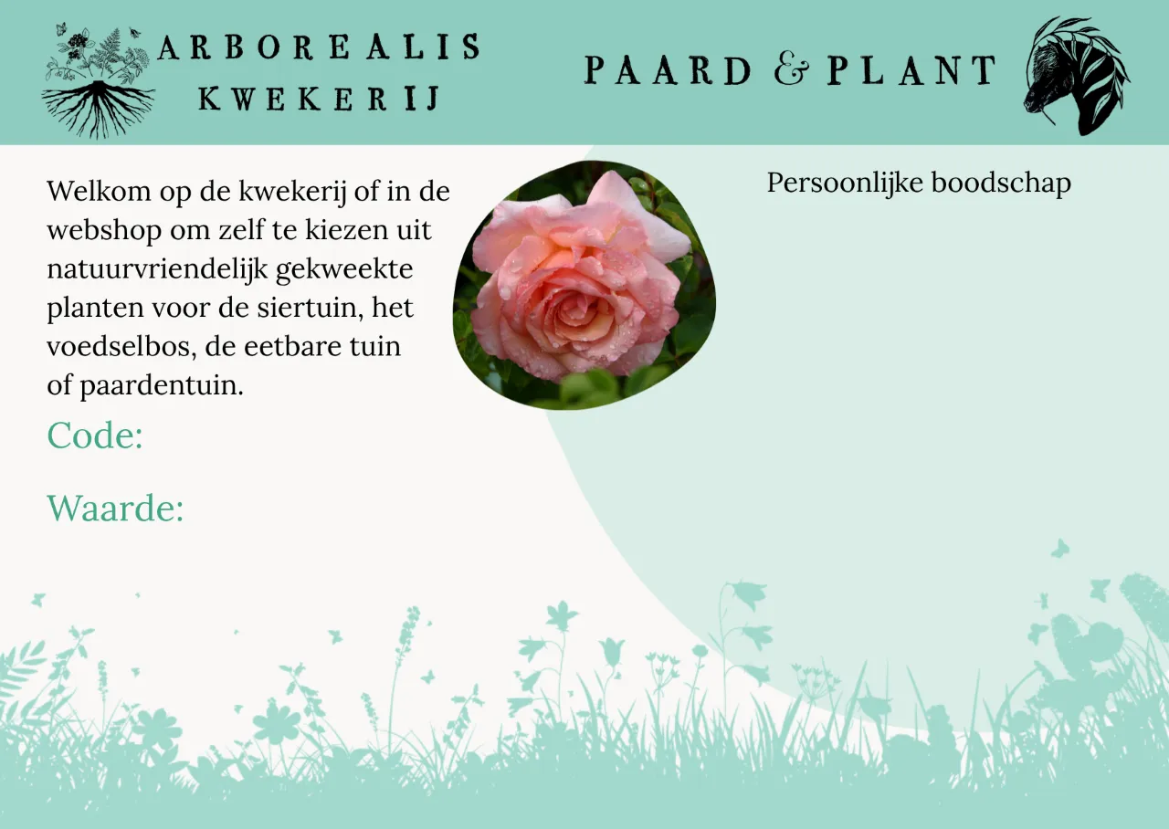 Cadeaubon per post : 10