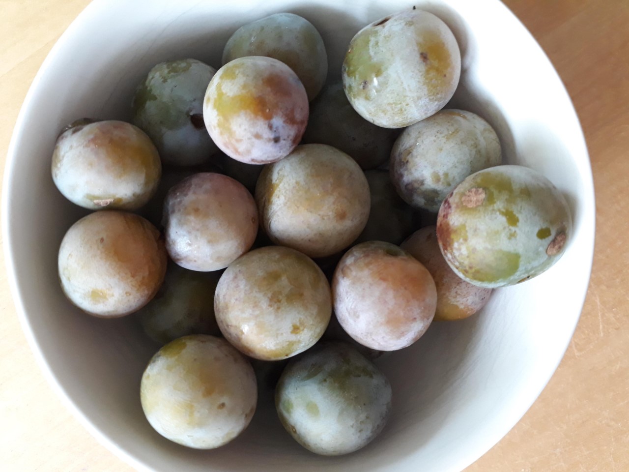 prunus-wichter