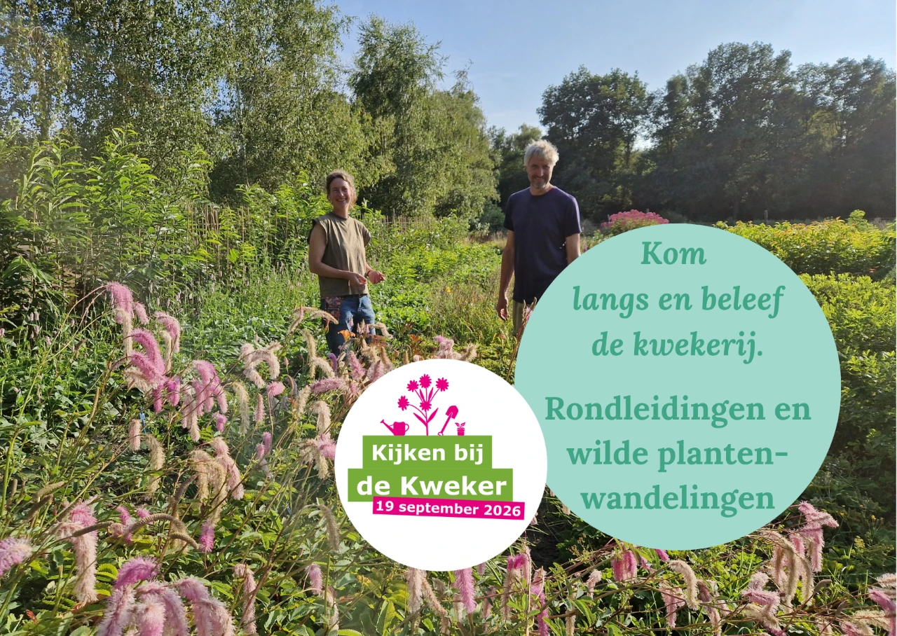 Kijken bij de Kweker 2026