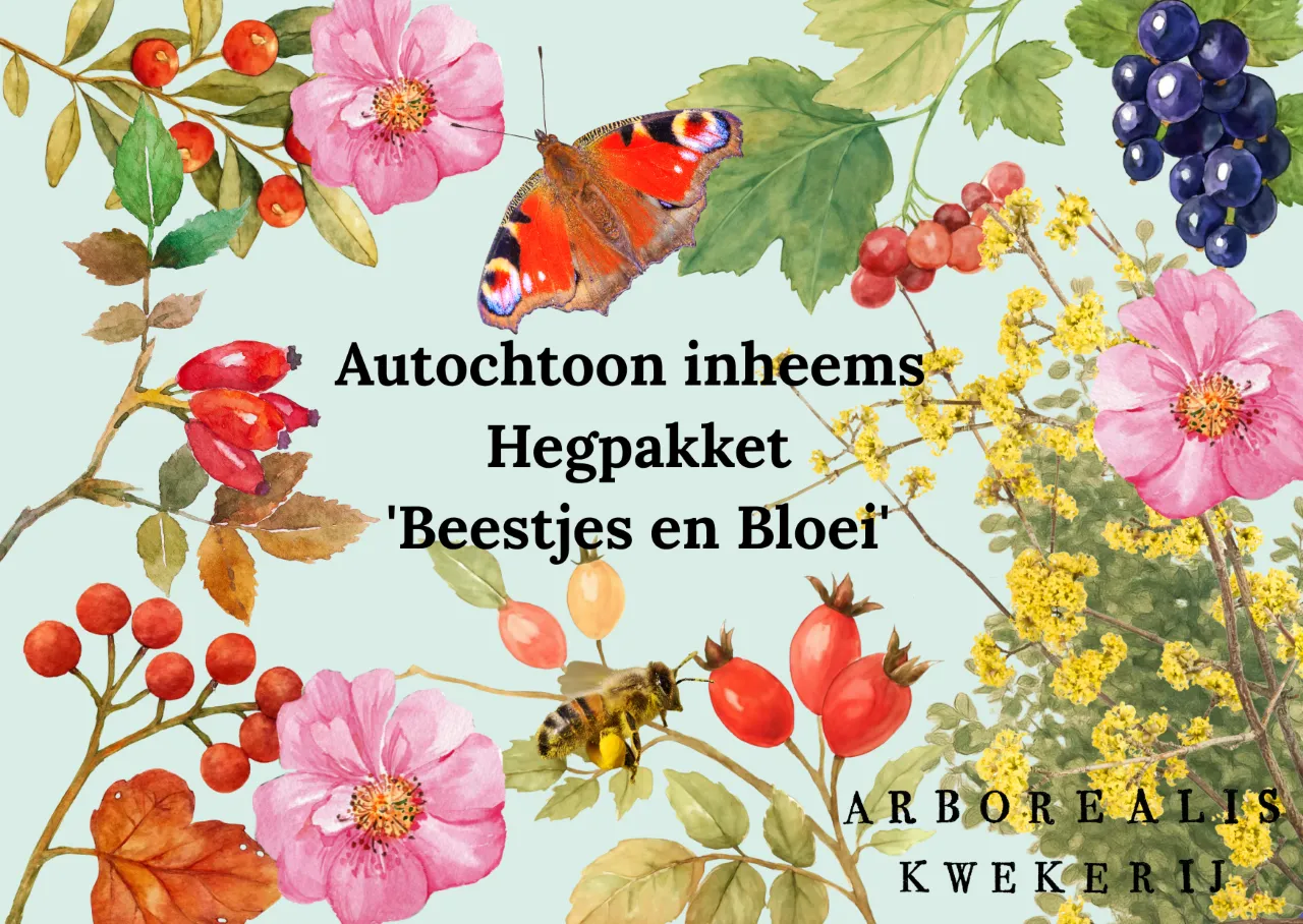 Autochtoon inheems Hegpakket 'Beestjes en bloei' 10 meter Klei en veen