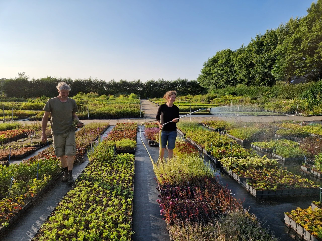 Zijn onze planten biologisch? Vanaf maart 2026 wel!
