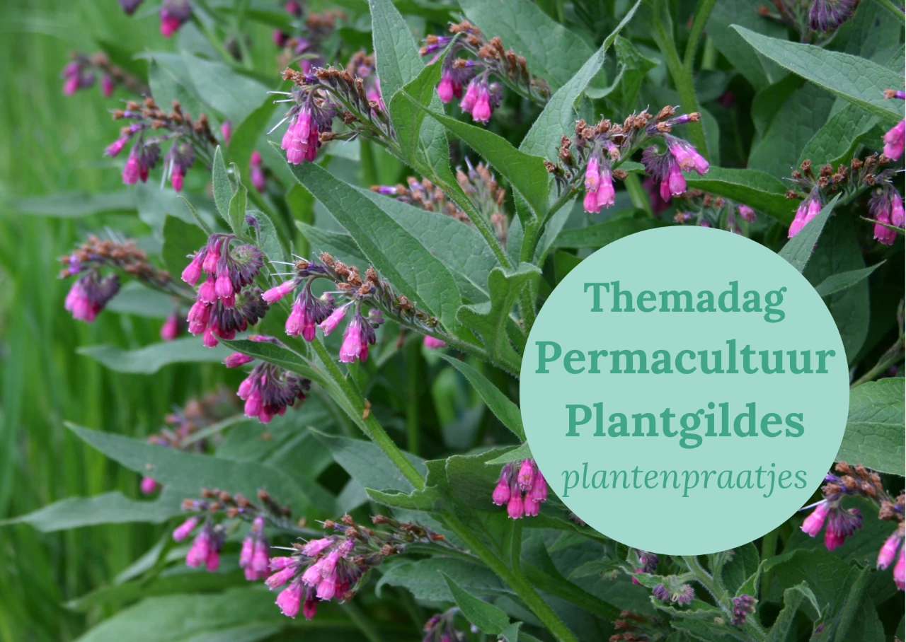 Themadag Permacultuur Plantgildes