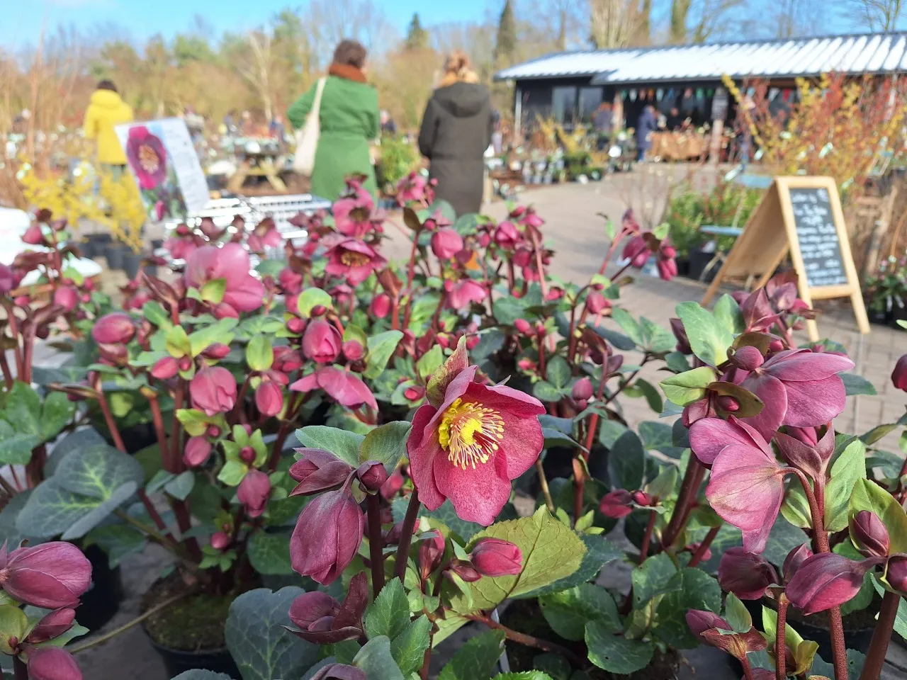Wintertuindag 15 februari