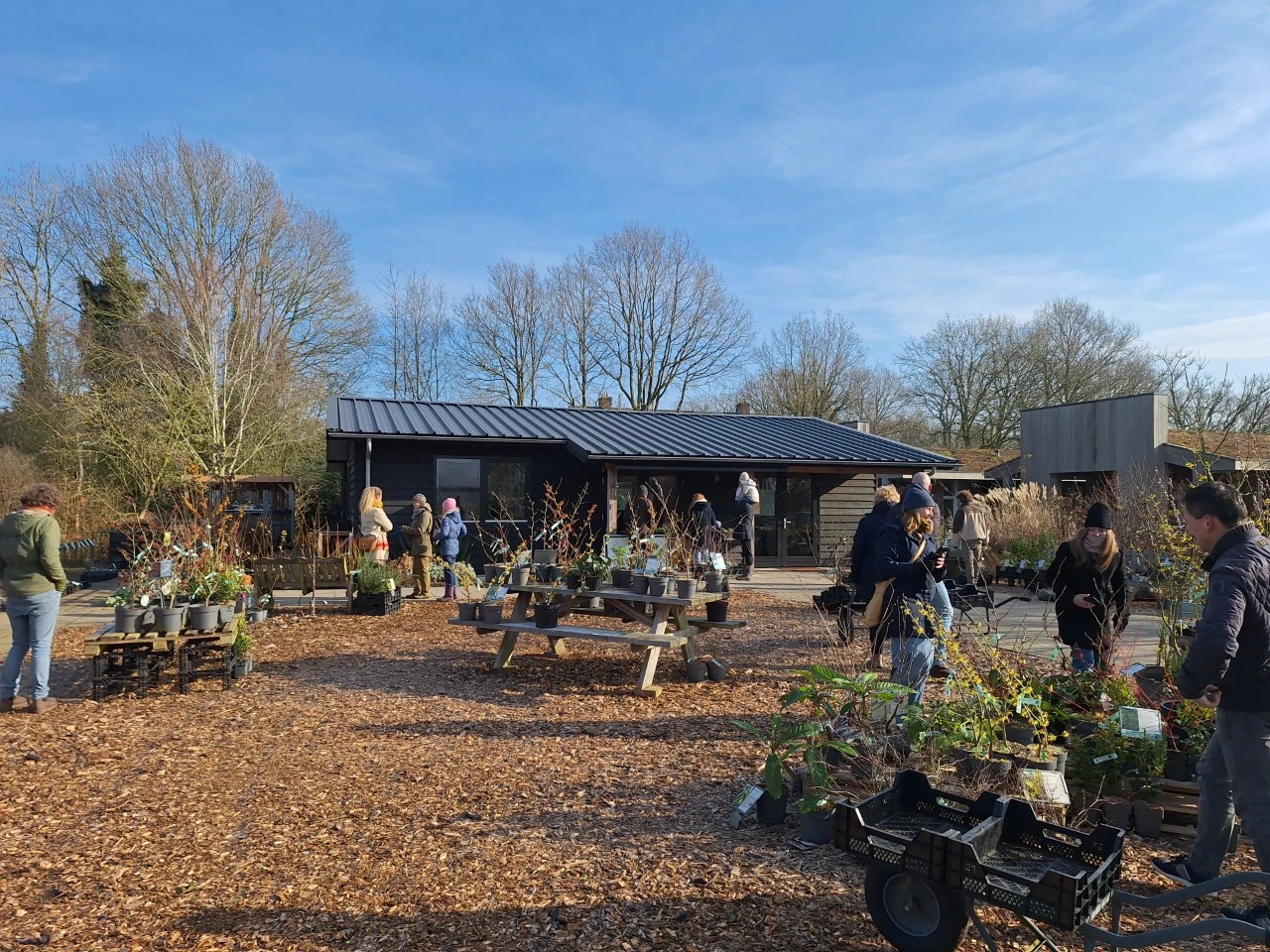 Winters genieten van planten: Terugblik Wintertuindag 2026 en een kornoelje die terugkwam naar onze kwekerij