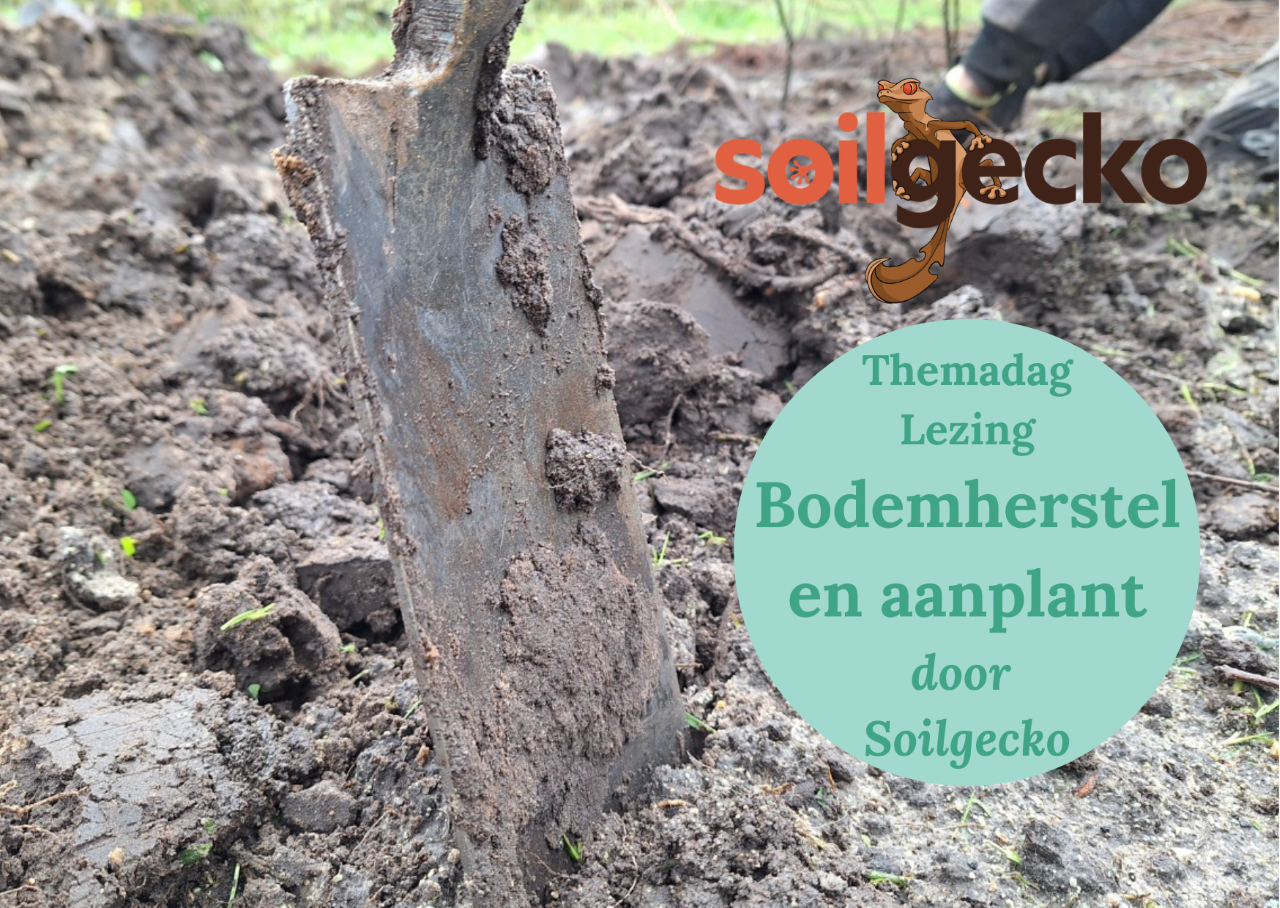 Lezing Bodemherstel en aanplant | Soilgecko
