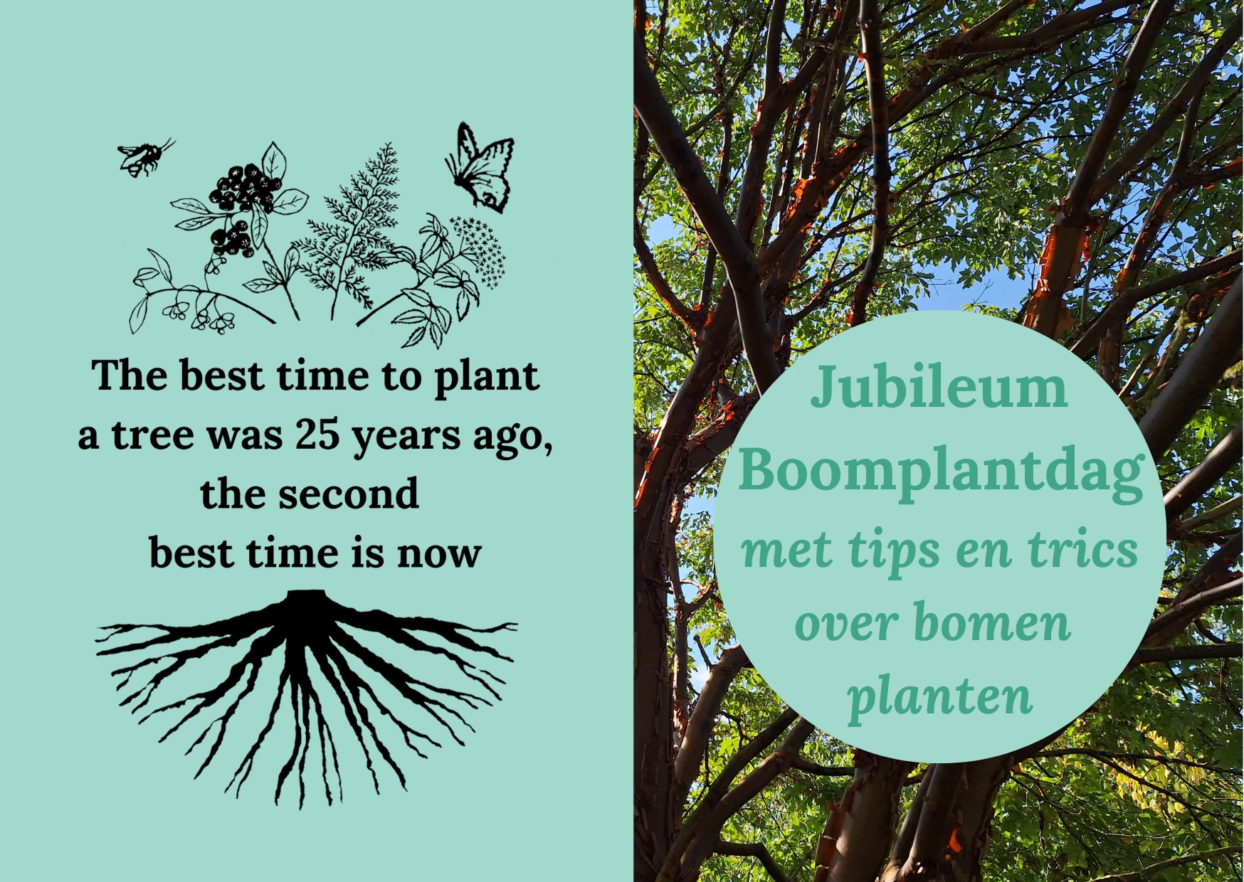 Jubileumboomplantdag