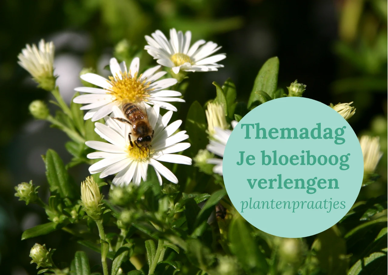 Themadag Je Bloeiboog verlengen