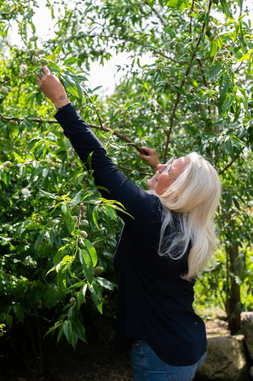 Lezing Femmeke Huigens