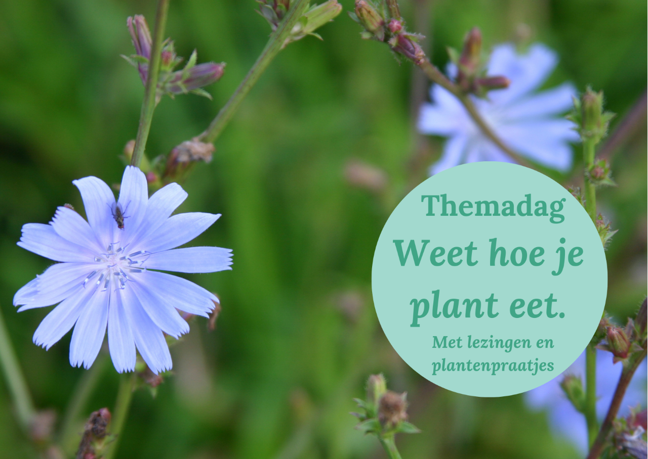 Themadag Weet hoe je plant eet