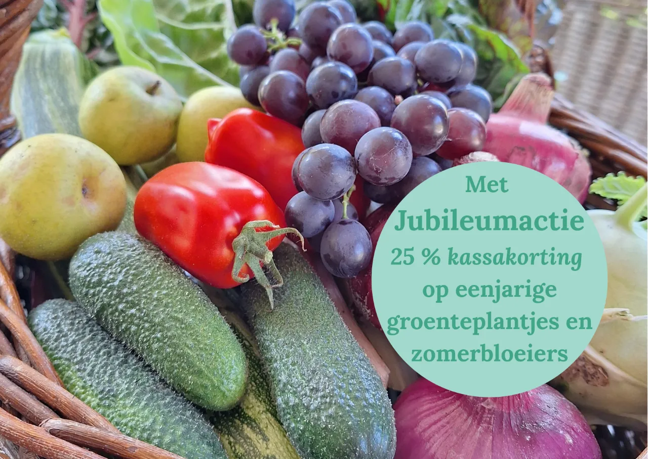 Themadag Zin in de Zomer 9 mei