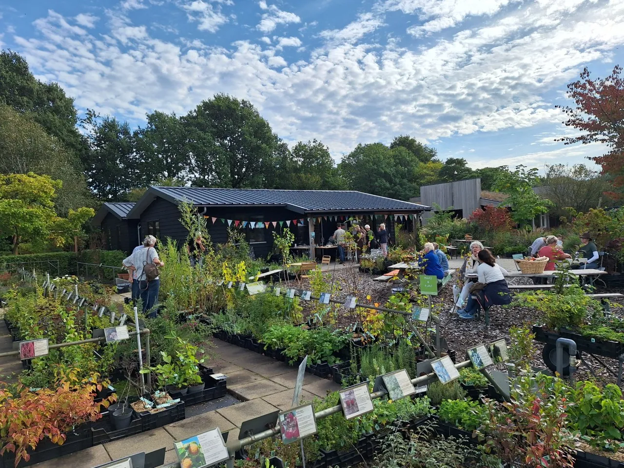 Het is die bodem! Terugblik VOEDSELBOSWEEKEND 2025: inspiratie, informatie én planten!