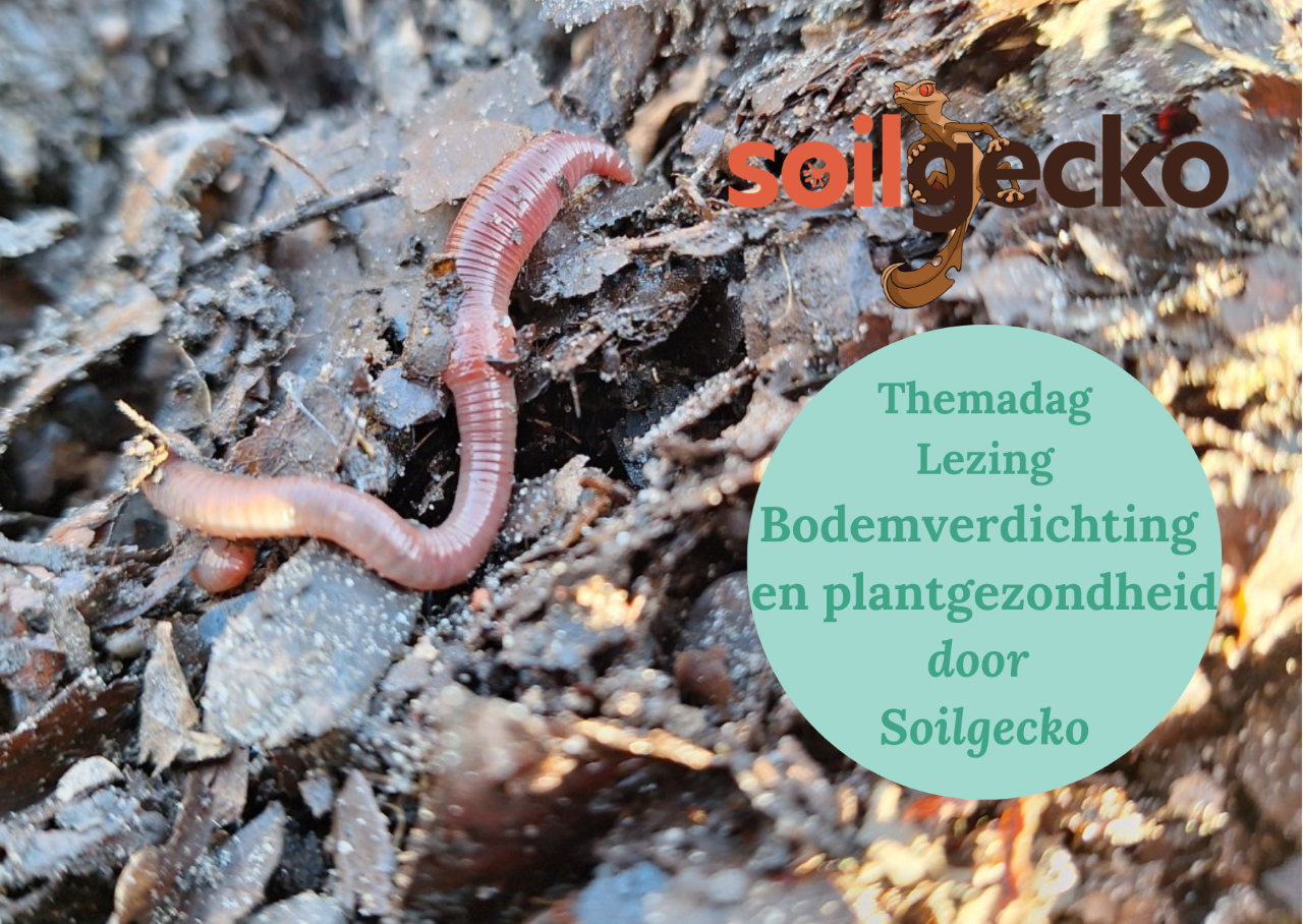 Lezing Bodemverdichting en plantgezondheid | Soilgecko